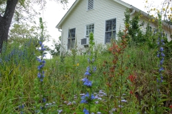 Home Gardening Area